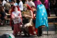 /album/fotogalerie1/img-1009-jpg/